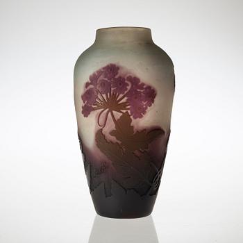 VAS, glas, Emile Gallé, Nancy, Frankrike, jugend.