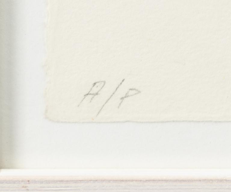 Ann Edholm, Utan titel.