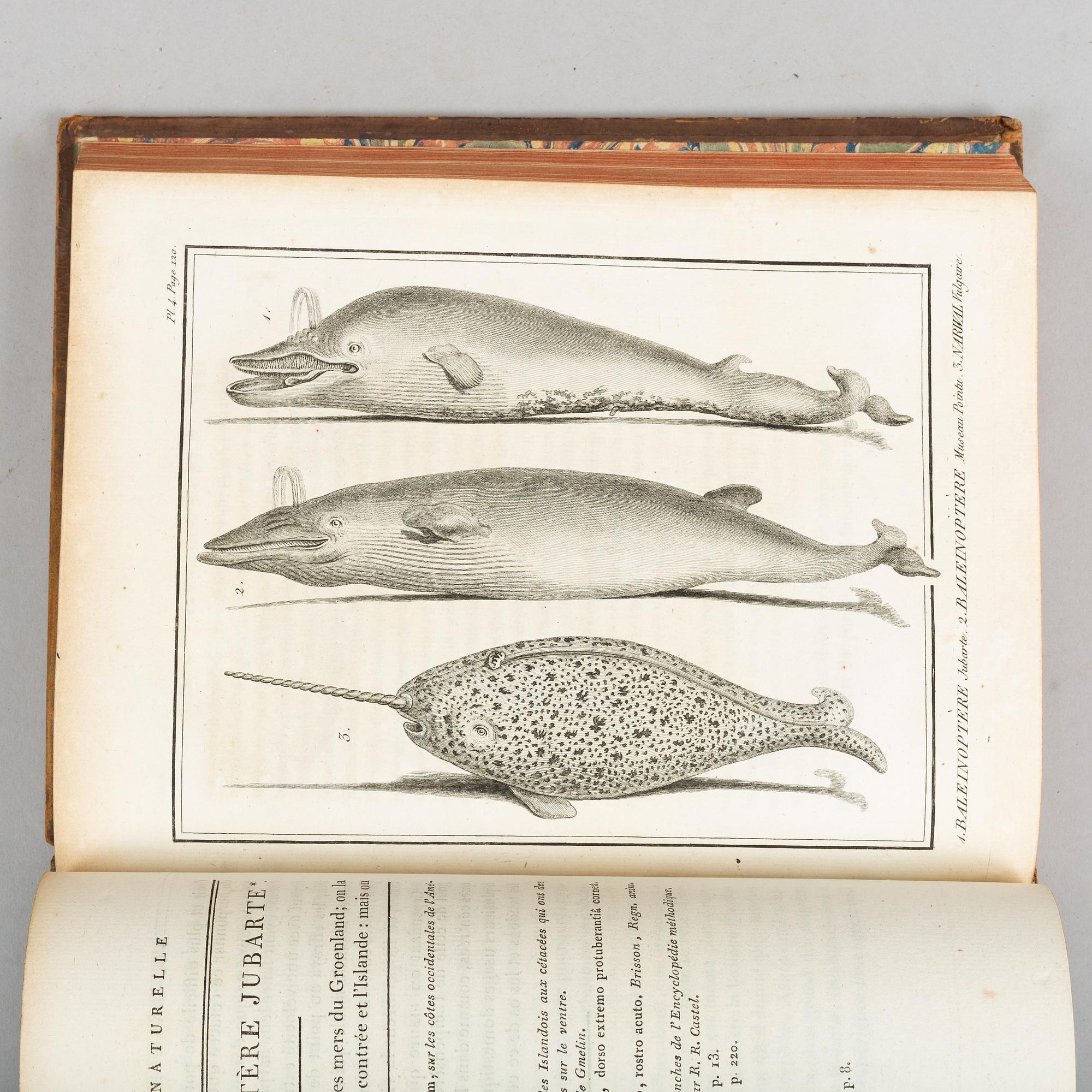With 132 engraved plates of fishes and whales.