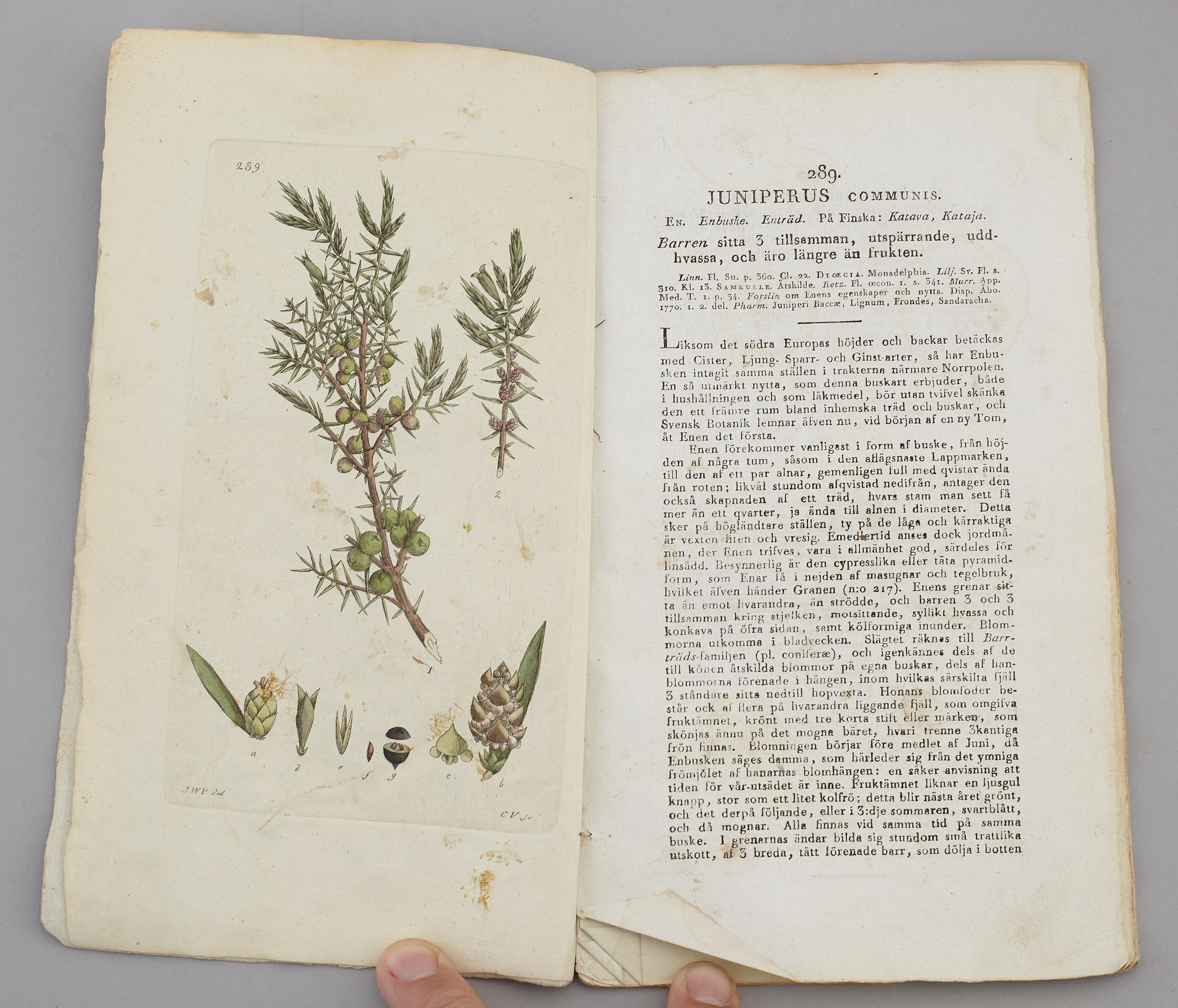 JOHAN WILHELM PALMSTRUCH, "Svensk Botanik, vol I-V. 1803-1805.
