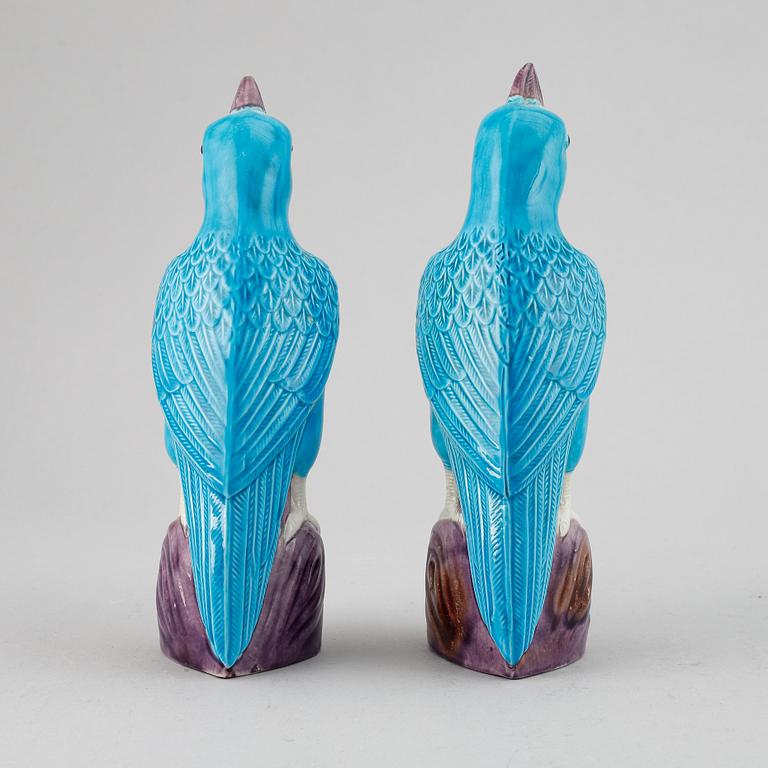 A pair of Chinese turkoise glazed parrots, 20th Century.