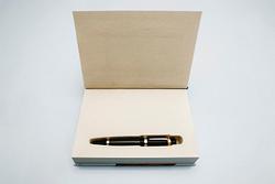 Montblanc Fountain Pens – Writers Edition