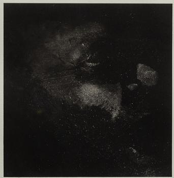 Dan Wolgers, 'Petrus'/'Peter' from 'In the Olive Grove'.