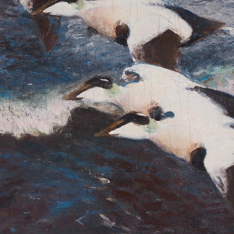 Bruno Liljefors, Eider ducks over the sea.