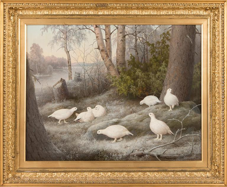 Ferdinand von Wright, Ptarmigans.
