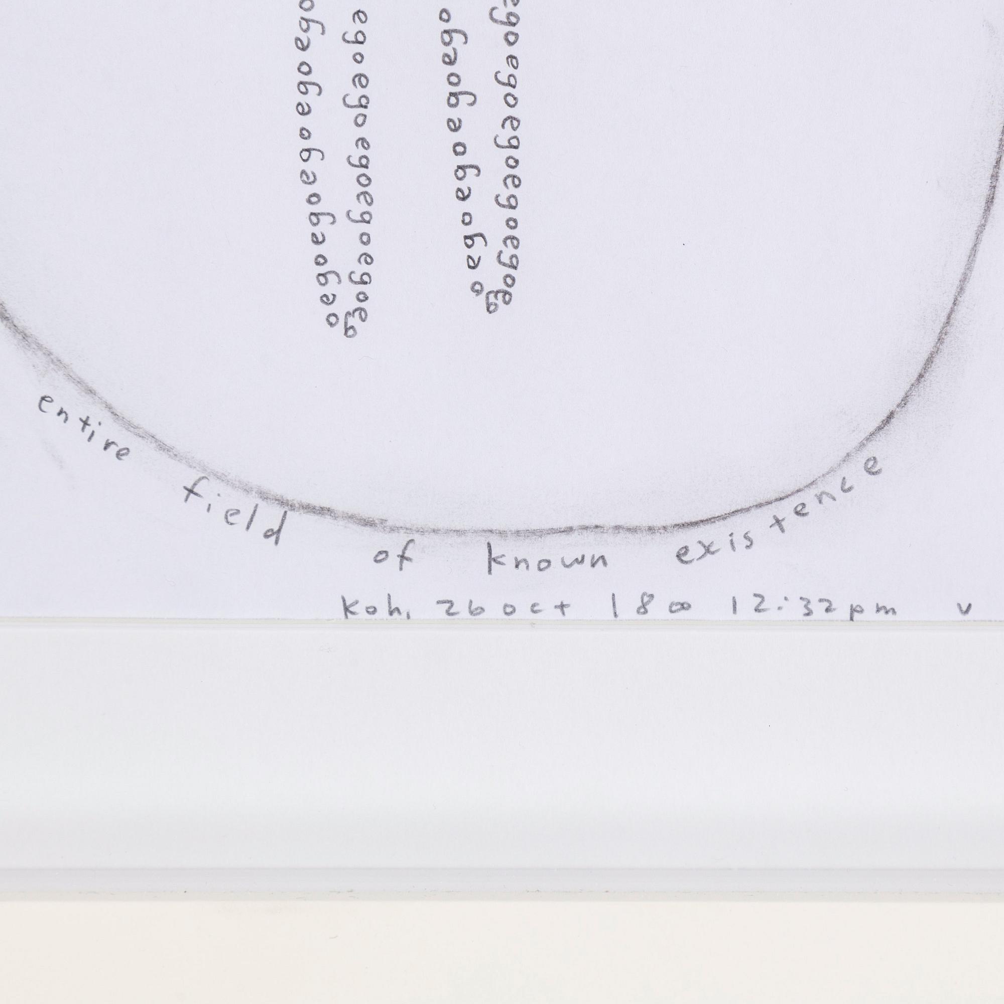 Terence Koh, "Entire field of known existence".