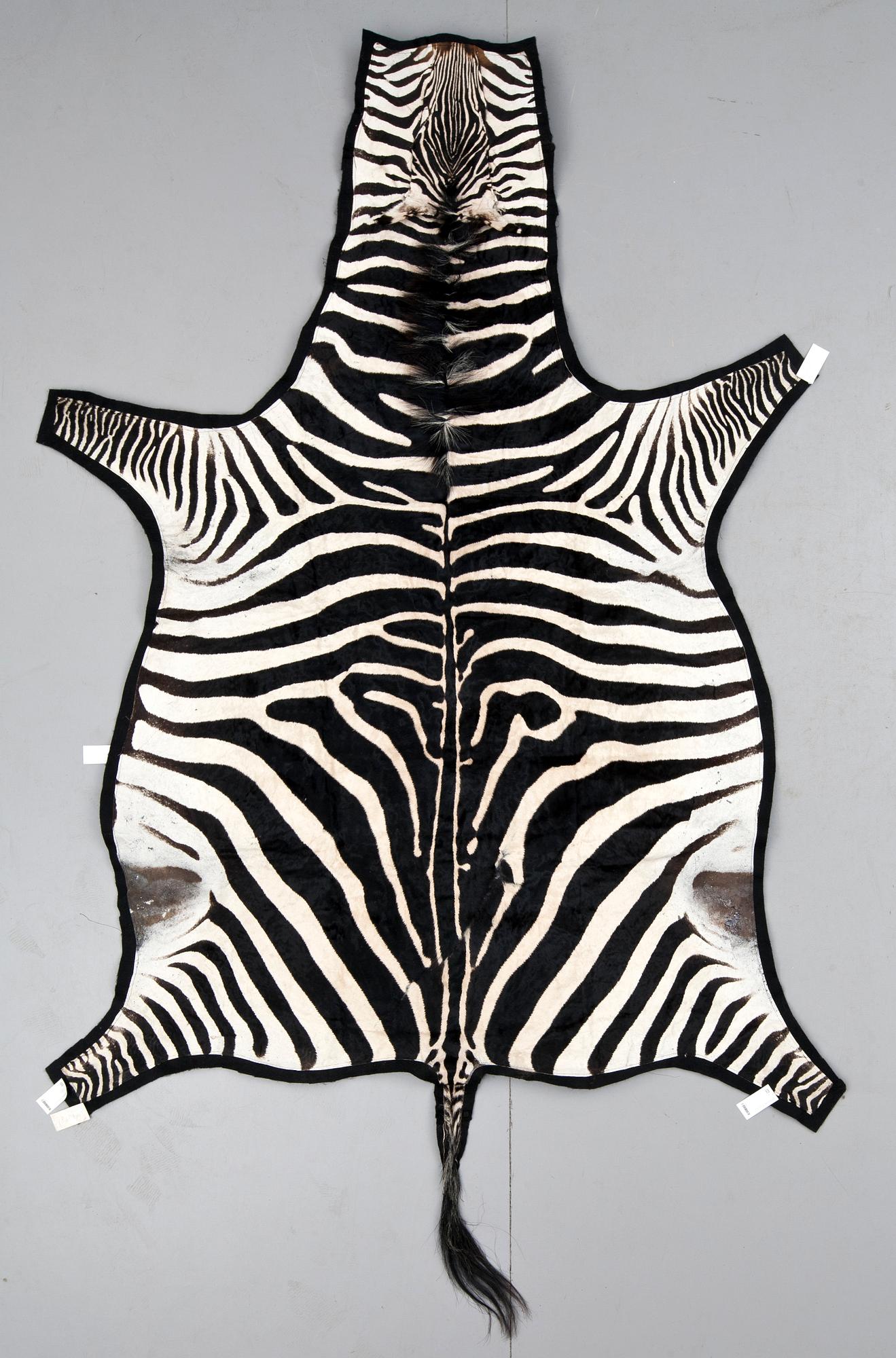 ZEBRASKINN, 1900-talets första hälft.