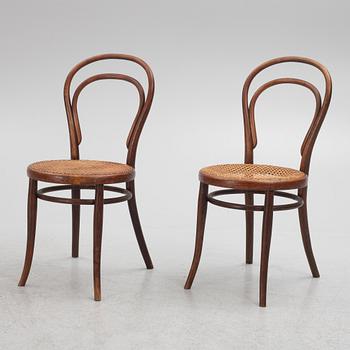 Chairs, 12 pcs, Thonet, first half of the 20th century.