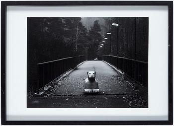 Rolf Adlercreutz · ROLF ADLERCREUTZ, archival pigment print, signerad, stämplad och numrerad 1/20 a tergo.