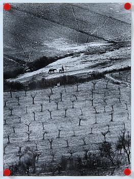 PEPI MERISIO, 3 st, fotografi, 2 sign samt 1 stämpelsign a tergo.