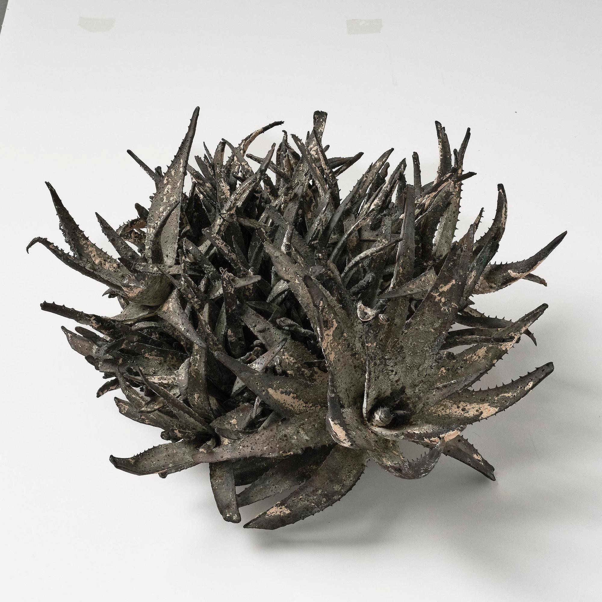 Roland Persson, "Aloe Vera".