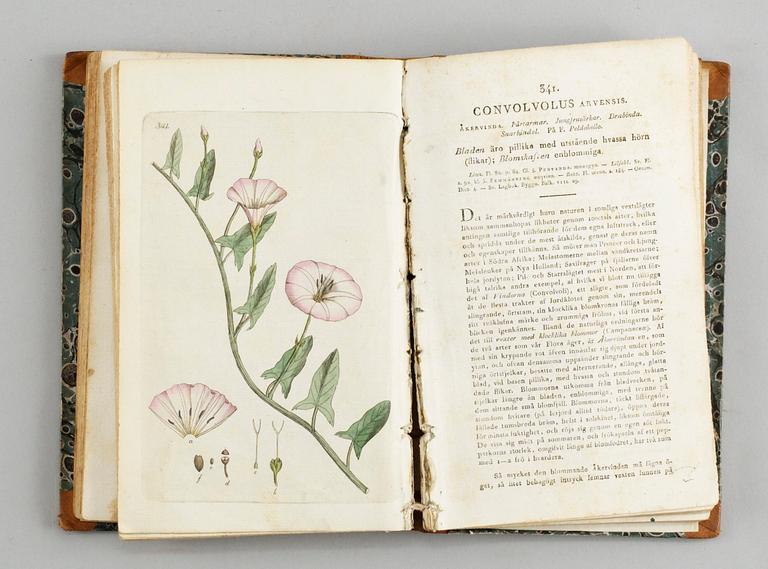 Johan Wilhelm Palmstruch, "Svensk botanik", 8 volymer.