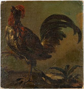 Okänd konstnär, 1700-tal, Tupp.