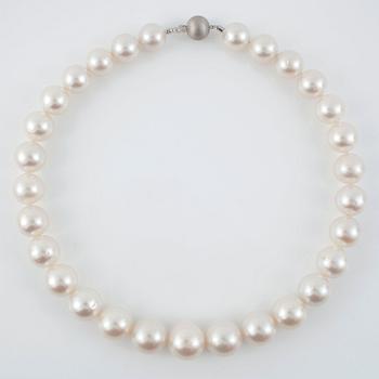A cultured South sea pearl necklace. Ø 14 - 17.1 mm.