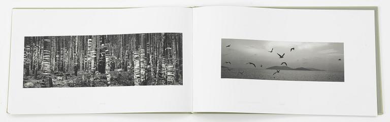 Pentti Sammallahti, "Sammallahti".