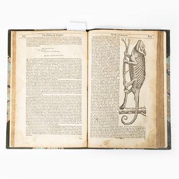 With woodcut illustrations of snakes, crocodiles, dragons, frogs, tortoises etc.