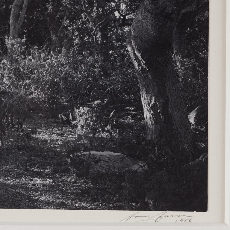 Ansel Adams, 'Mr. and Mrs. William E. Colby, Big Sur, California 1956'.