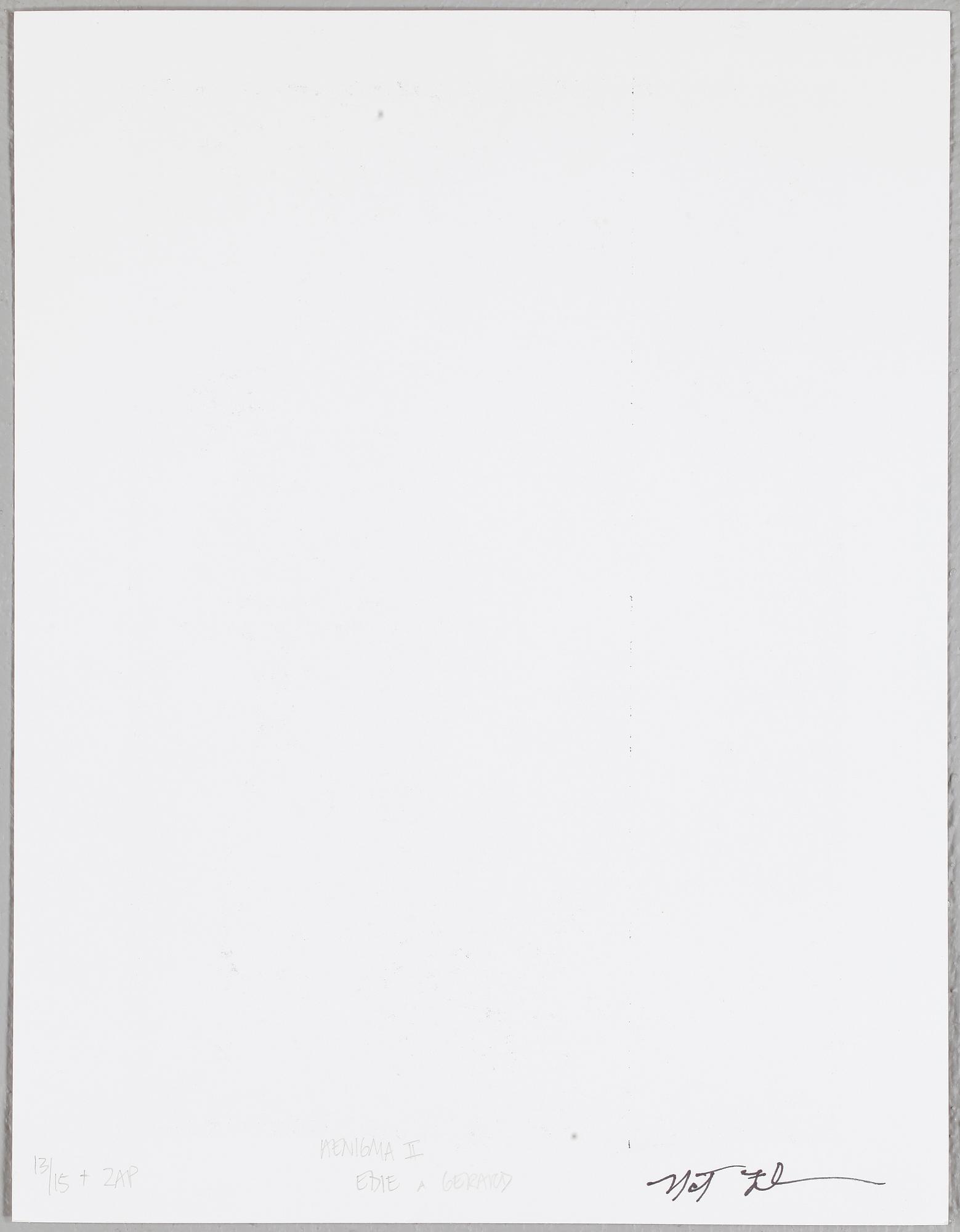 NAT FINKELSTEIN, Digital print (5 st), sign och dat och numr 13/15 a tergo.