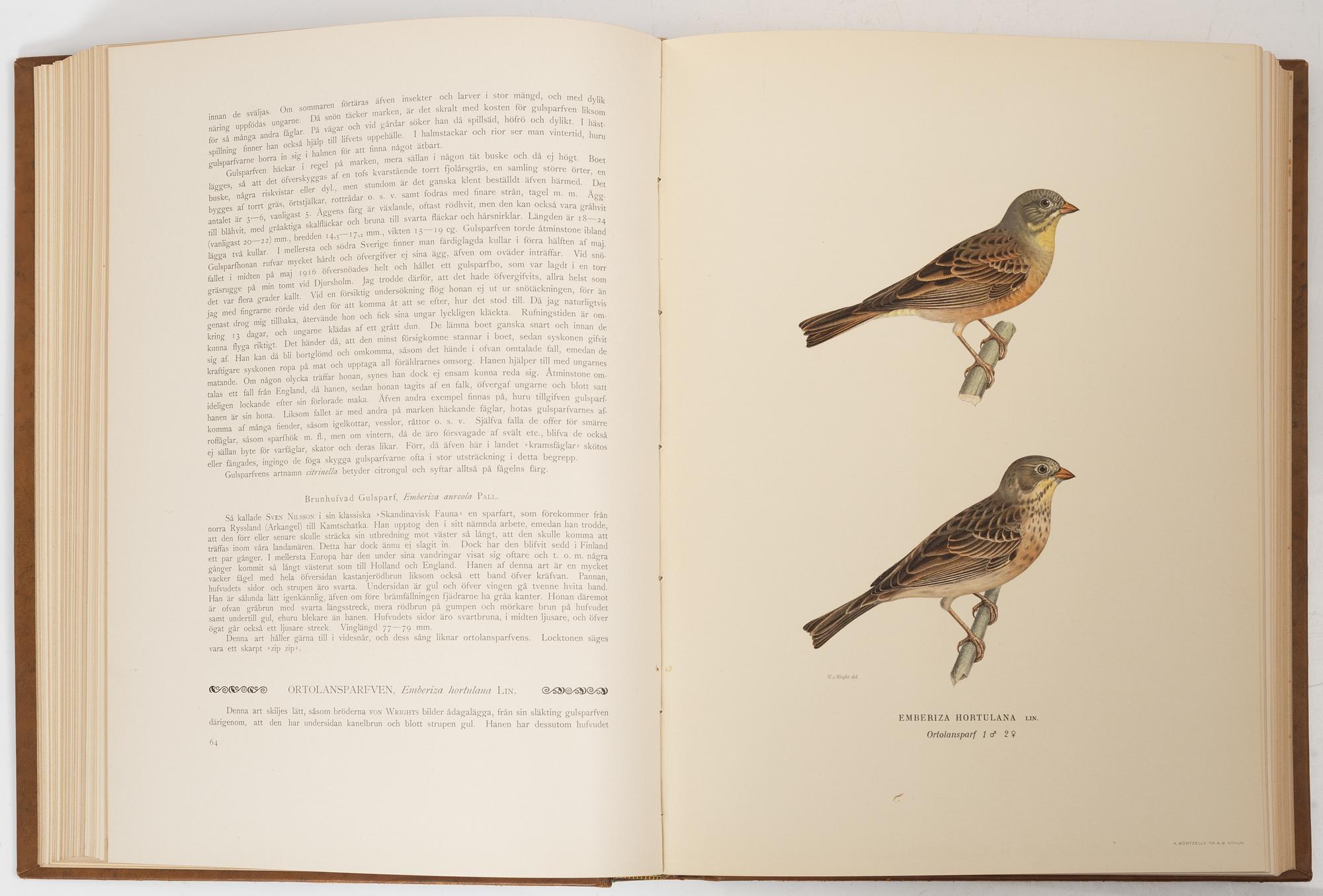 The Wright Brothers, books, 3 volumes, 'Svenska Fåglar', A. Börtzells tryckeri AB, Ivar Baarsen, Stockholm, 1924-1929.