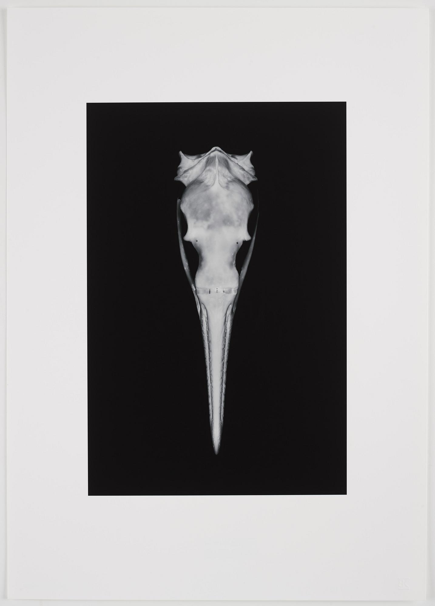Double Elvis Edition Portfolio, 2012.