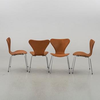 STOLAR 6 st, Arne Jacobsen, "Sjuan", Fritz Hansen, Danmark,