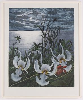 Karl Axel Pehrson, lithograph in colours, 1984, signed 56/385.