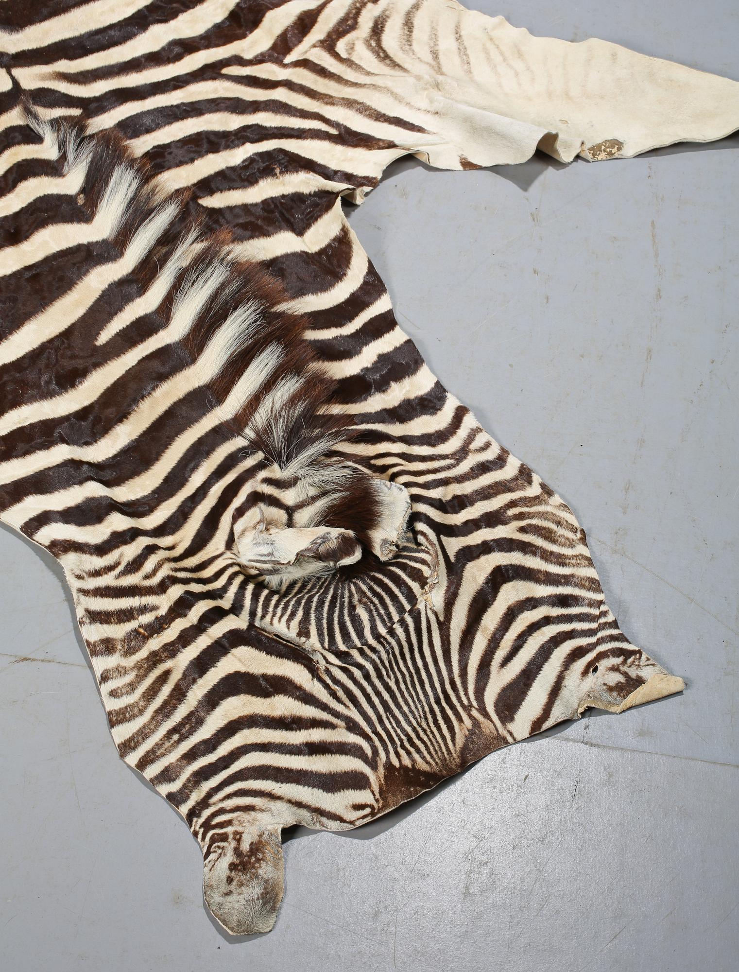ZEBRASKINN, Namibia, 1988.