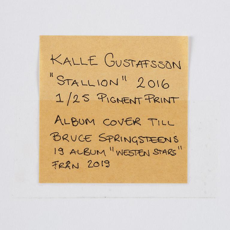 Kalle Gustafsson, "Stallion", 2016.