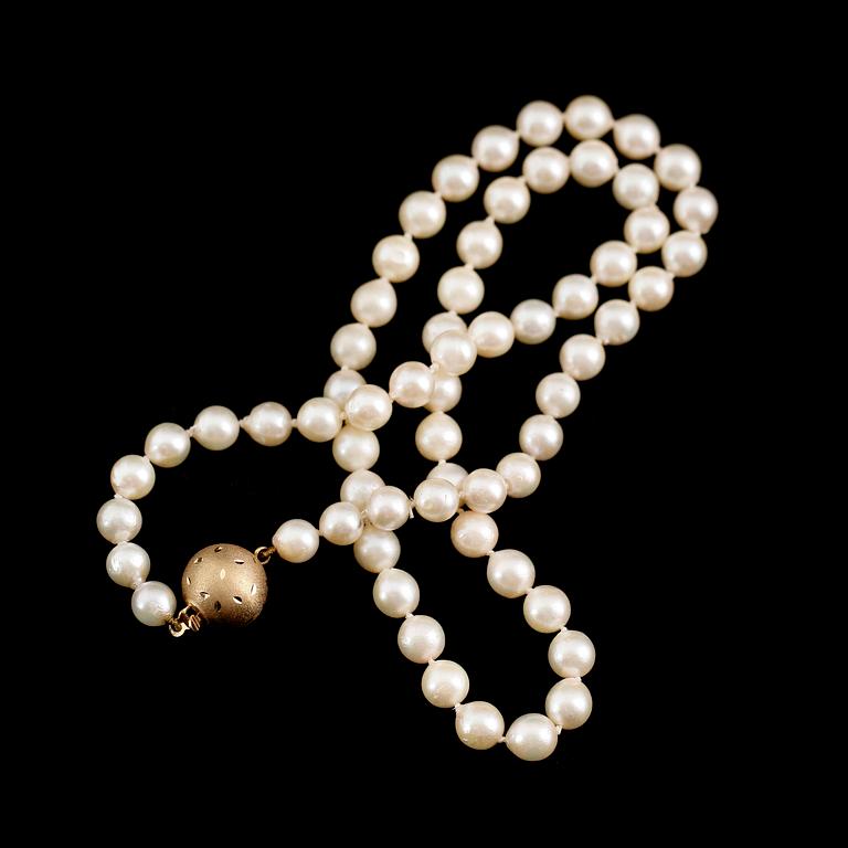 COLLIER, lås 18 k guld, odlade pärlor.