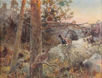 Emil Edvard Danielsson, Capercaillies in a Forest.
