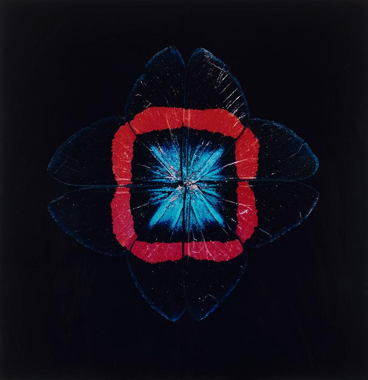 Nathalia Edenmont, 'Red Square', 2005.