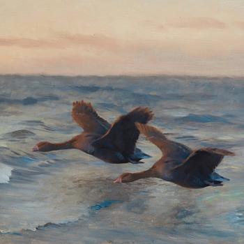 Bruno Liljefors, Seascape with geese.