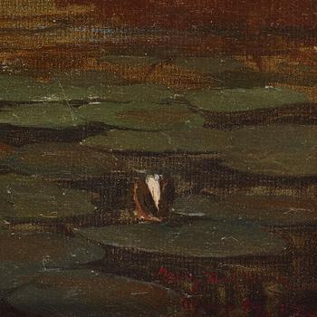 Wilhelm Dahlbom, Water lilies.