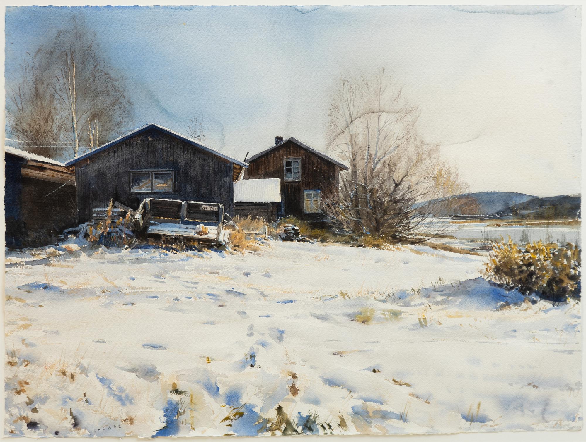 Stanislaw Zoladz, "Vintergård".