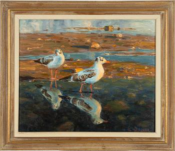 Thure Wallner, Unga Skrattmåsar.