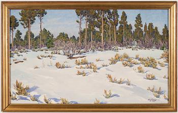 Gunnar Widforss, "Snow, Forest in Grand Canyon".
