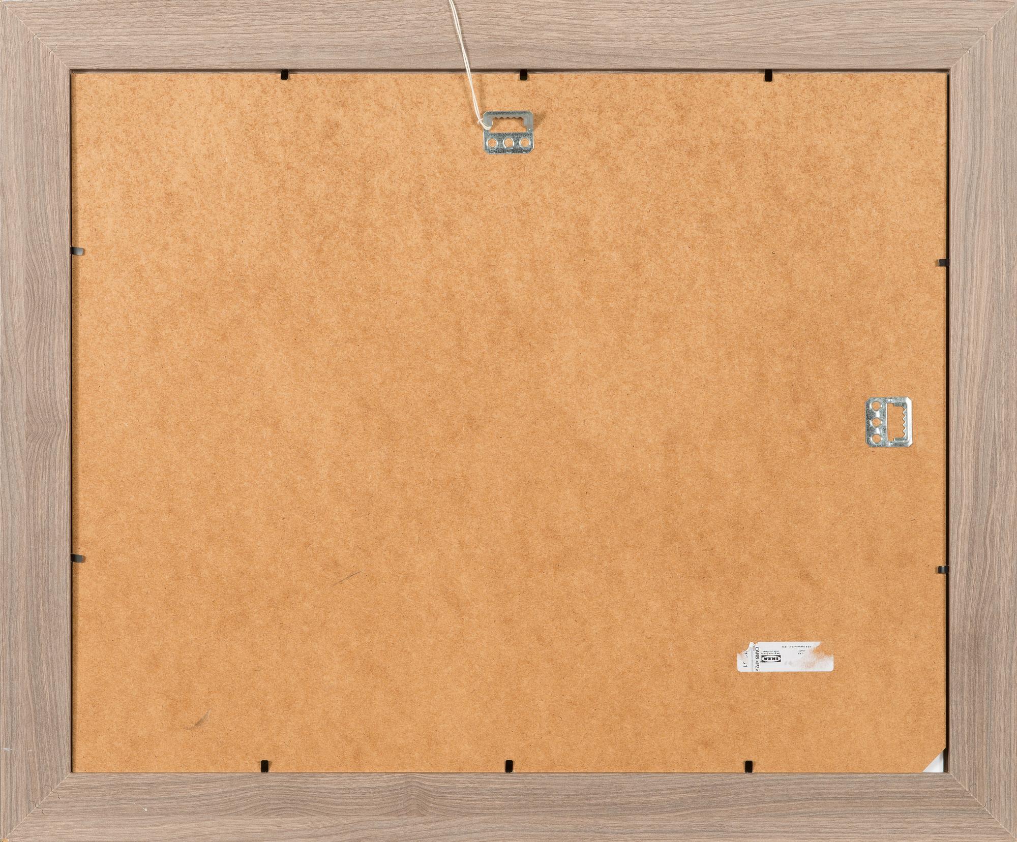 Frans Toikkanen, etching, signed and dated -91, numbered 66/100.