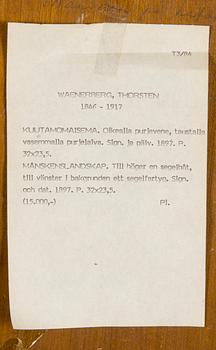 Thorsten Waenerberg, Purjelaivoja iltahämärässä.