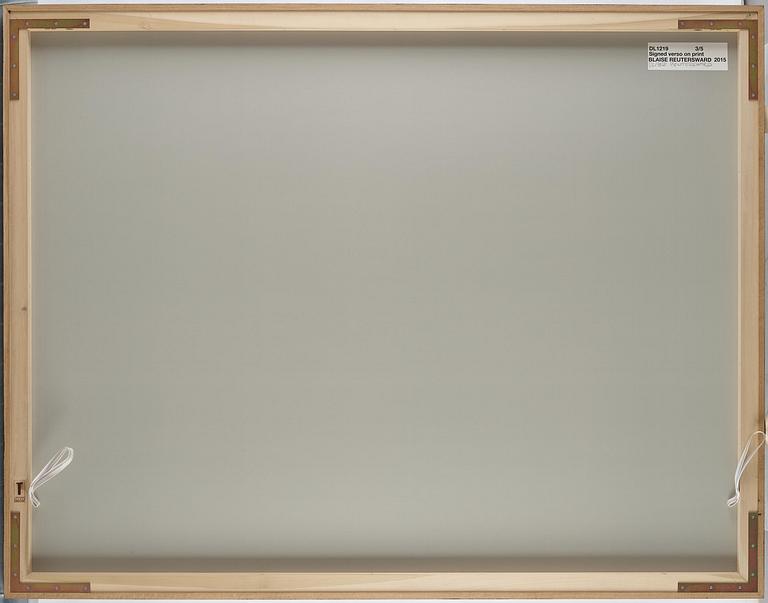 Blaise Reutersward, "DL 1219", 2015.