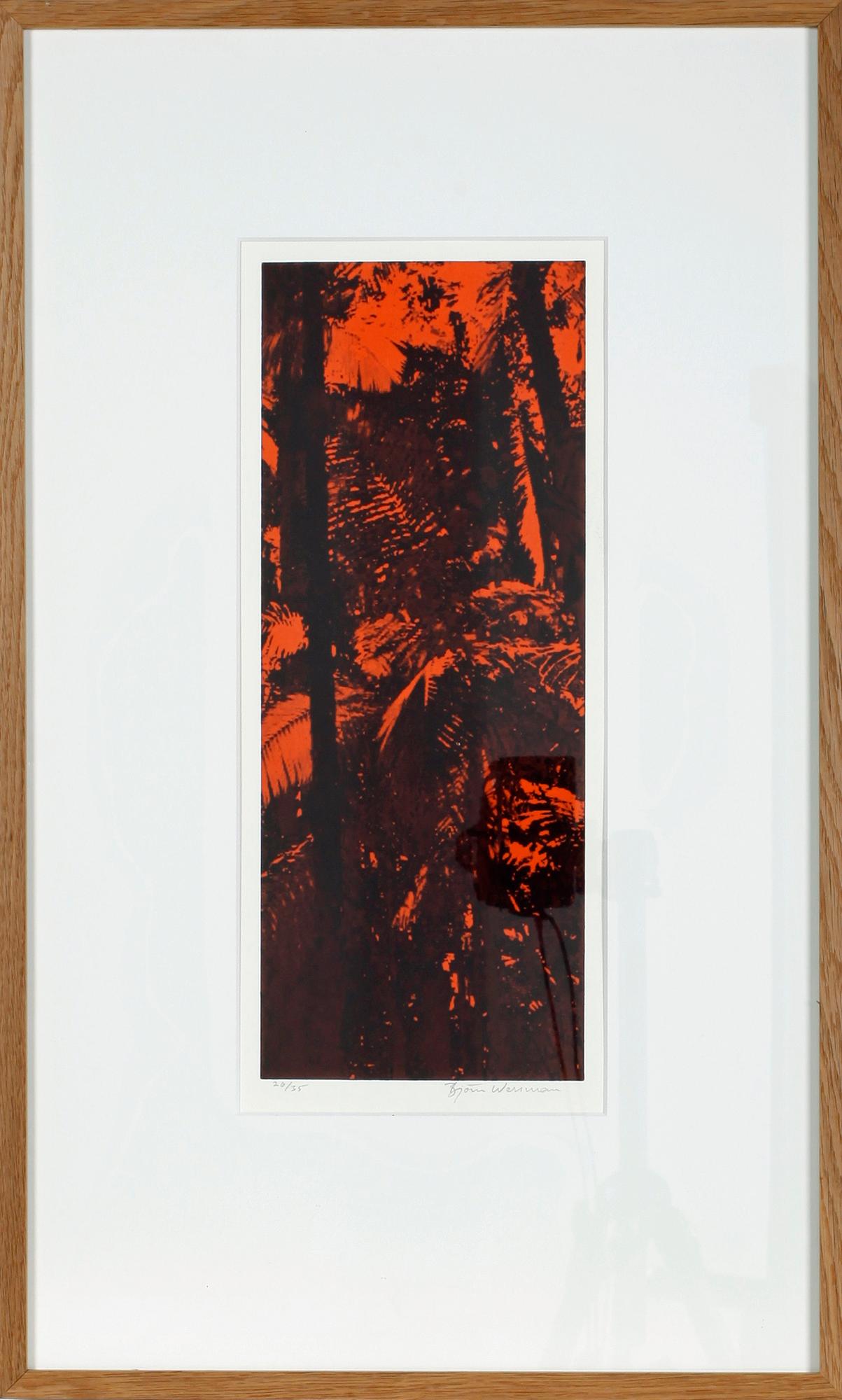 BJÖRN WESSMAN, grafiska tryck, 3 st, sign. Nr 30/35, 26/35, 26/35.