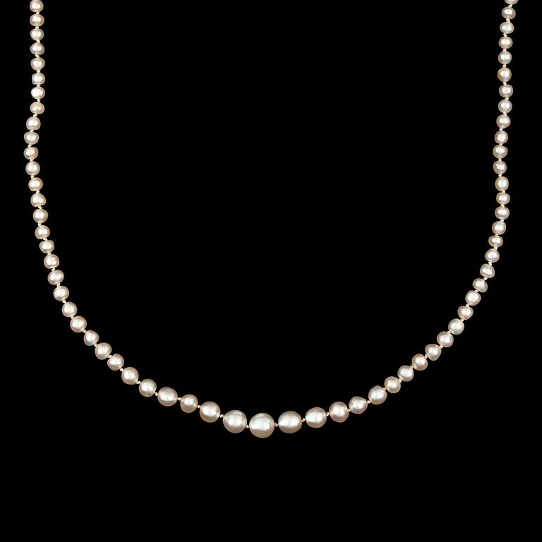 COLLIER med naturliga semibarocka pärlor, Ø 2.7 - 6.2 mm.