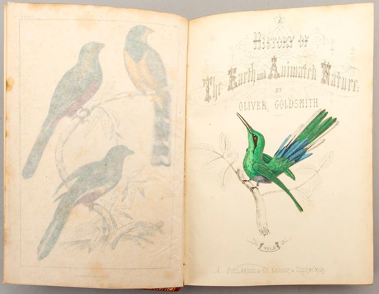 OLIVER GOLDSMITH 'A History of The Earth and Animated Nature' I-II, hand colored plates, c 1870.