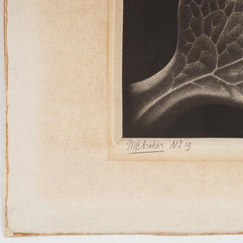 Maurits Cornelis Escher, ”Drop (Dewdrop)”.