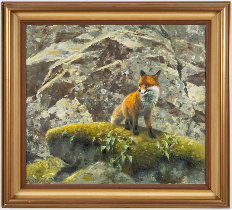 Thure Wallner, Räv.