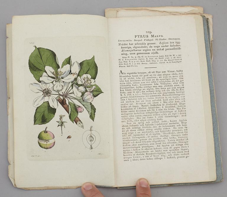 JOHAN WILHELM PALMSTRUCH, "Svensk Botanik, vol I-V. 1803-1805.