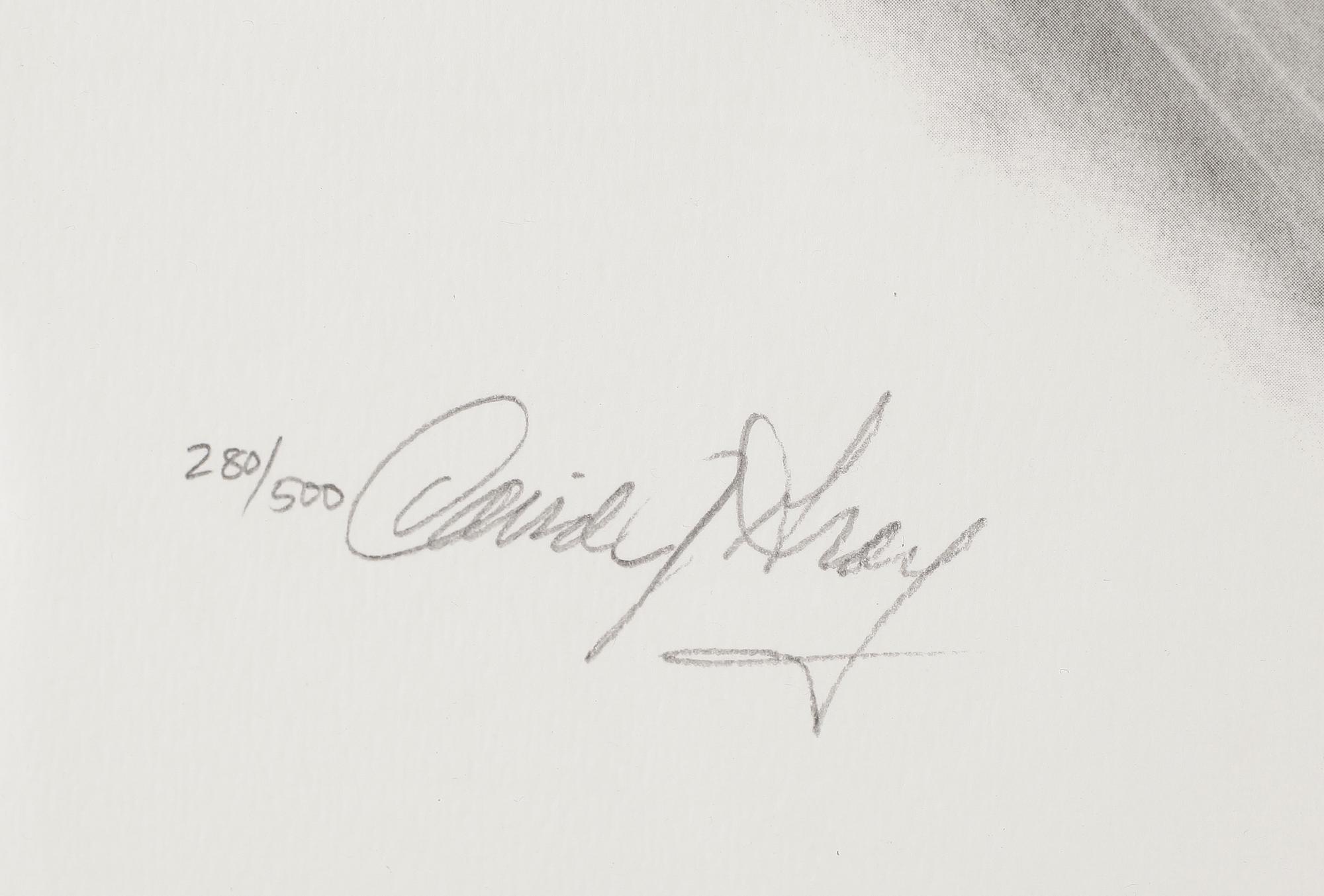 DAVID GRAY, 2 st, litografier, signerade samt med autografer bla Mario Andretti, numrerade 171/500 resp 280/500.