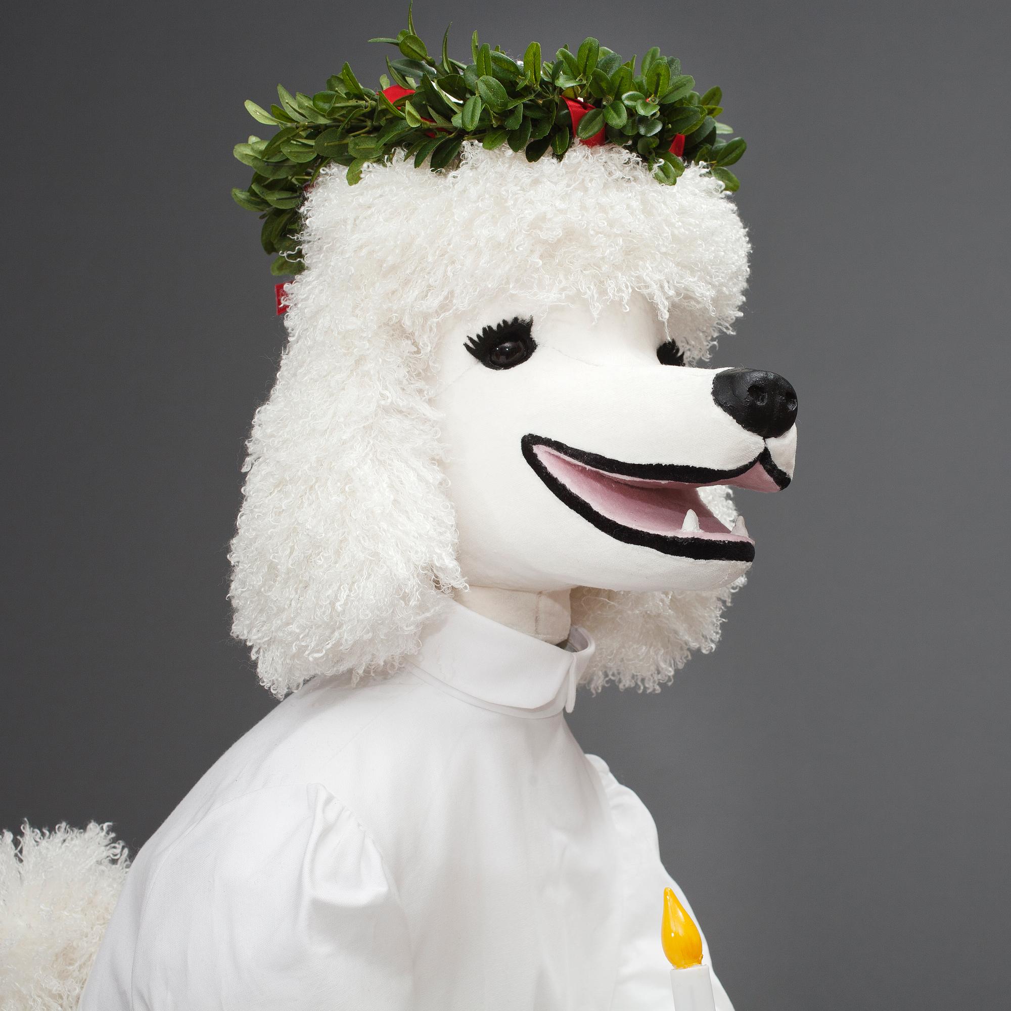 HUND, pudel, "Ulla", NK 2013, JoAnn Tan Studio.