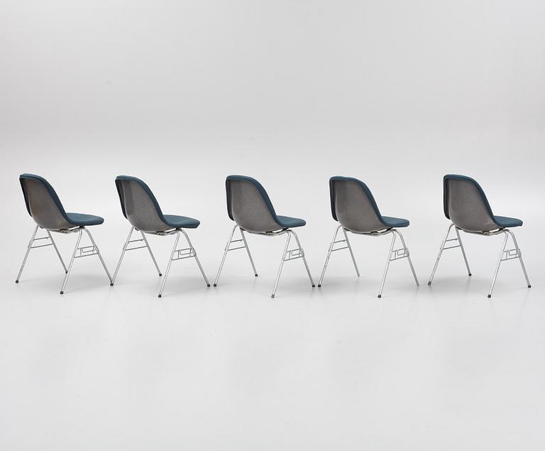 Charles & Ray Eames, stolar, 5 st. "DDS-I", licenstillverkad av Hille of London Ltd, England, 1960/70-tal.