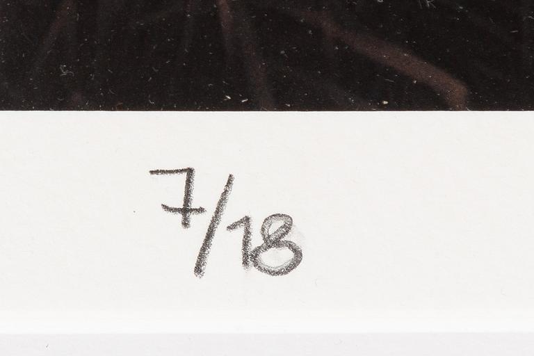 Bingo Rimér, Victoria Zorn.