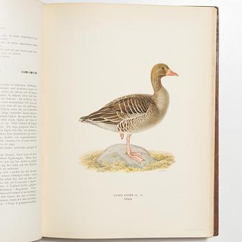 Bröderna von Wright, bokverk, 3 band, "Svenska fåglar", A. Börtzells tryckeri AB, Stockholm, 1927-1929.